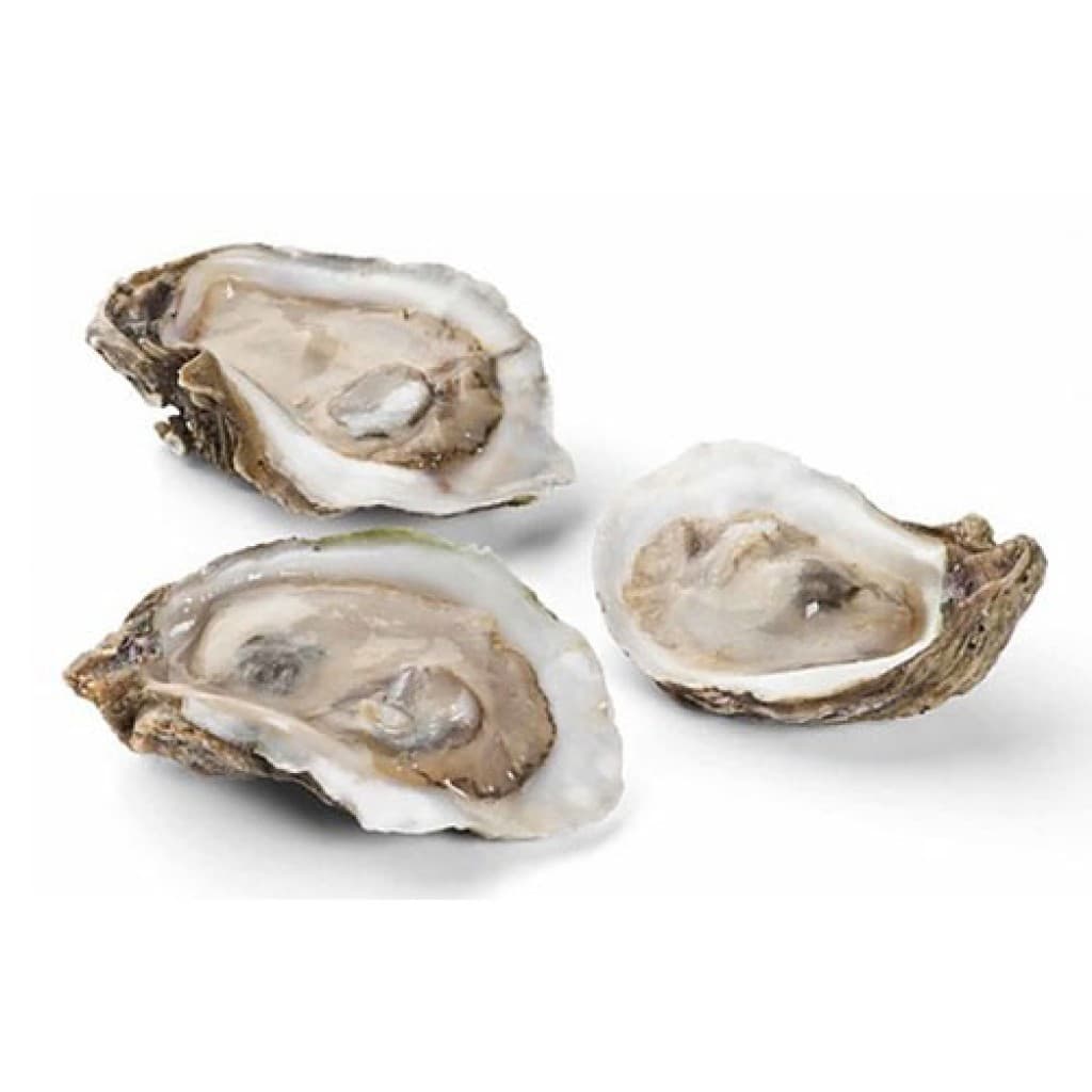 SouthFresh Extra Fancy Half Shell Gulf Oysters, 12 Count