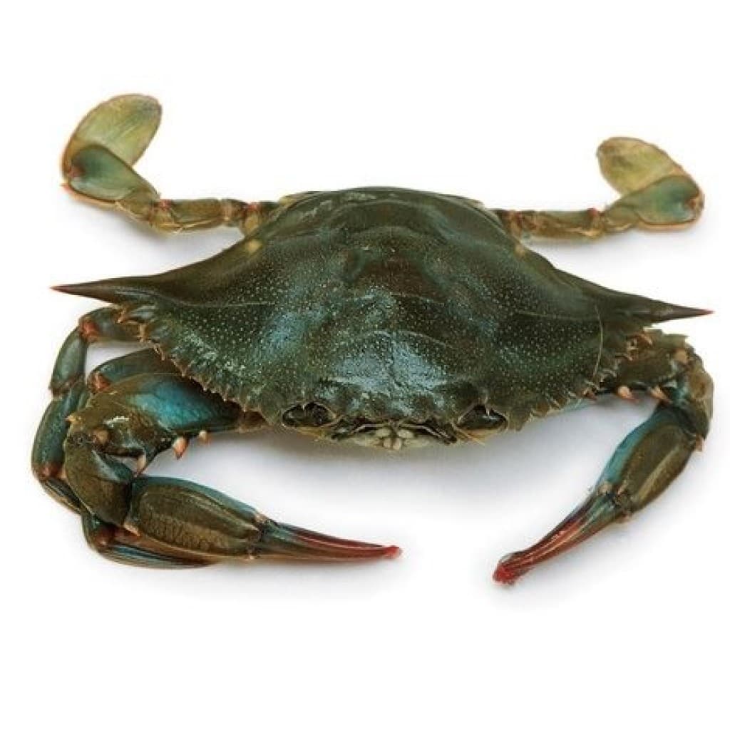 Jumbo Louisiana Soft Shell Blue Crabs — 2 Pack