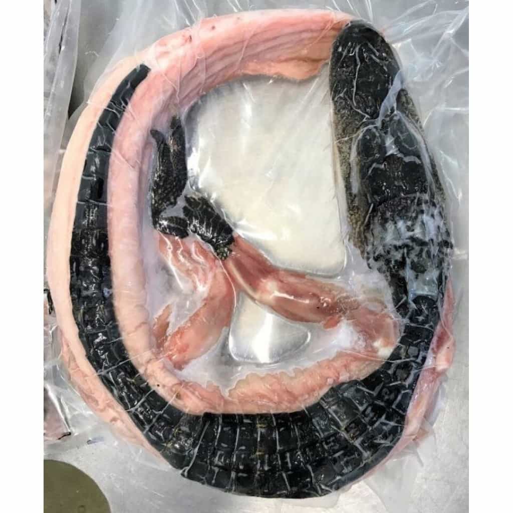 Whole Skinned Alligator, Small (5–8 lbs)