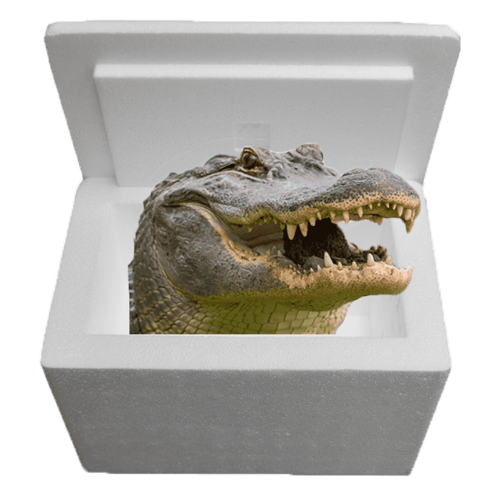 Louisiana Alligator Sampler Cooler: Authentic Cajun Delight