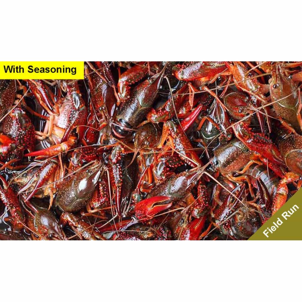 Live Crawfish Washed Field Run with seasoning