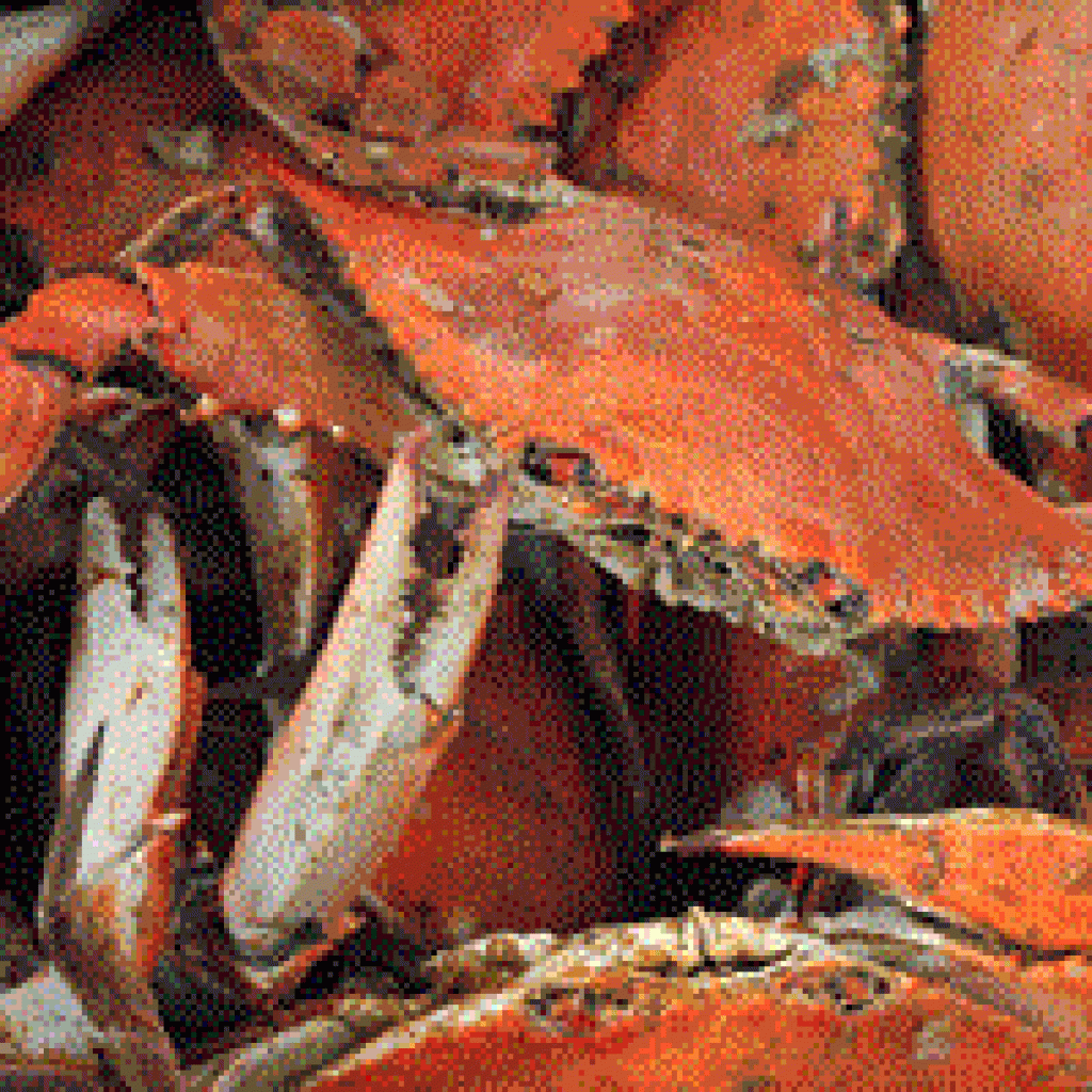 Frozen Whole Steamed Louisiana Blue Crabs — 4 Pack (Jumbo XL)