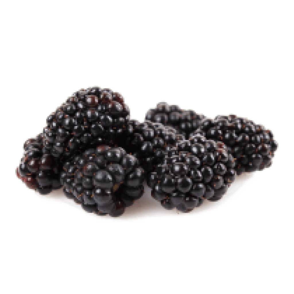Ole Homestead Blackberry Pepper Jelly 12 oz Jar