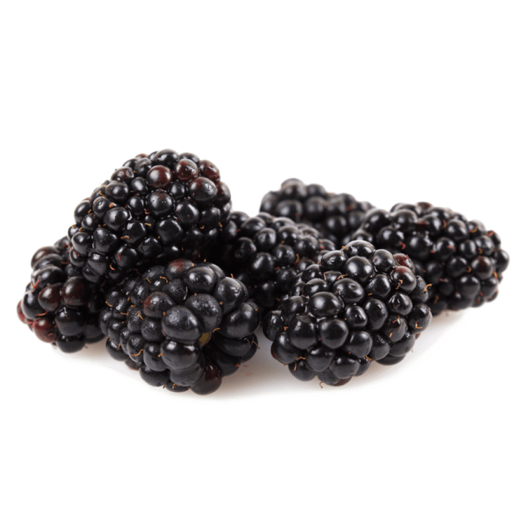 Blueberry Pepper Jelly