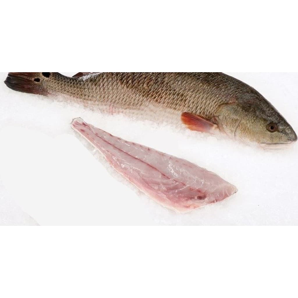 Redfish on the Half Shell — 4 Pack (9–11 oz ea)