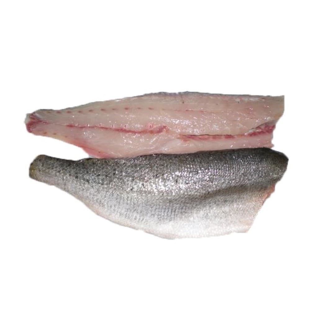 Vacuum‑Sealed Fresh Frozen Speckled Trout 8 oz Filet