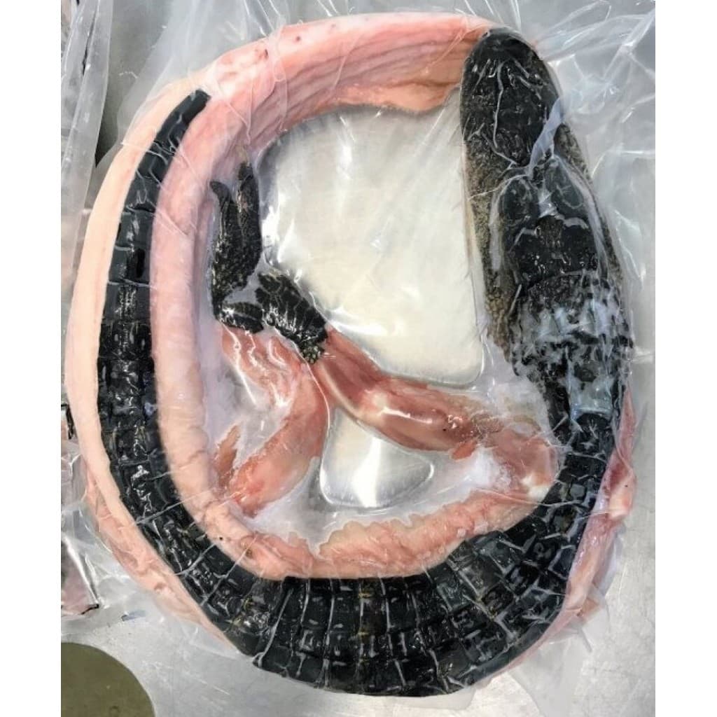 Whole Skinned Alligator, Small (5–8 lbs)