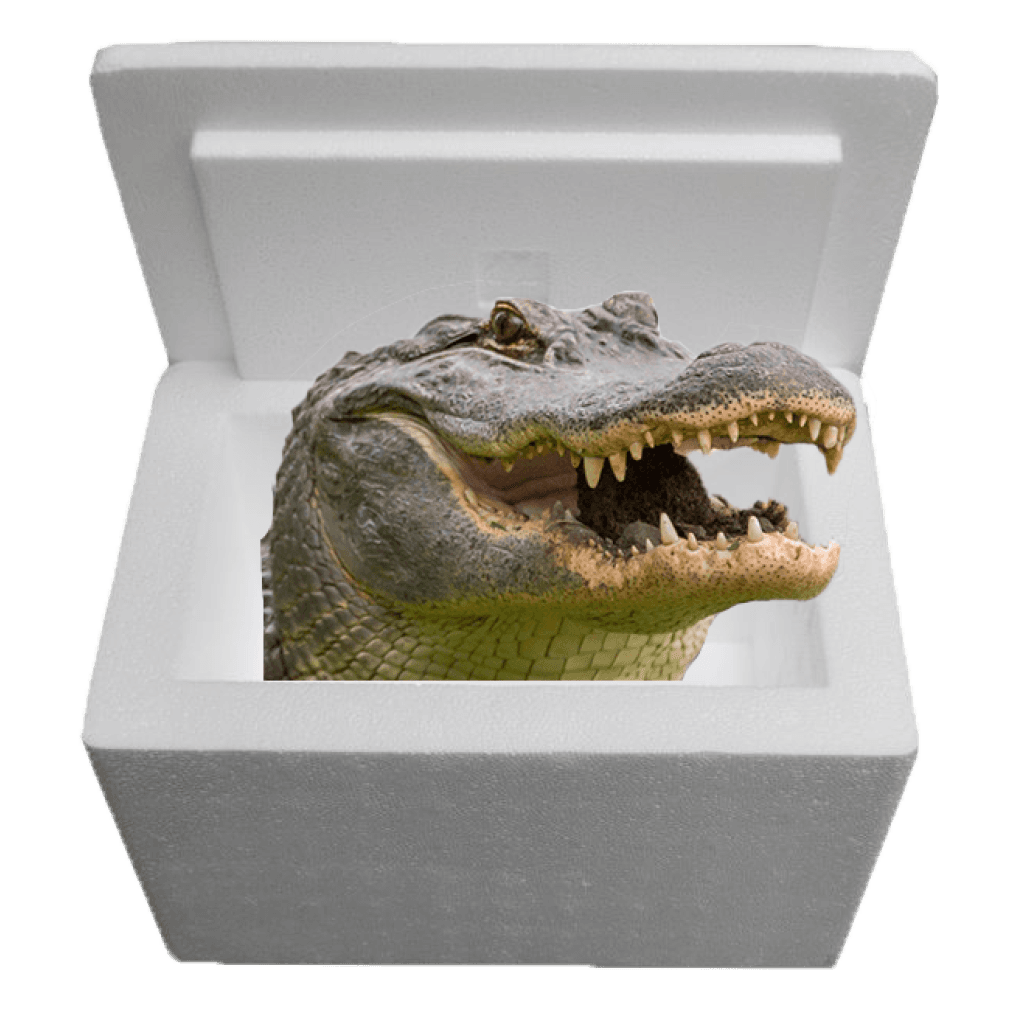 Louisiana Alligator Sampler Cooler: Authentic Cajun Delight