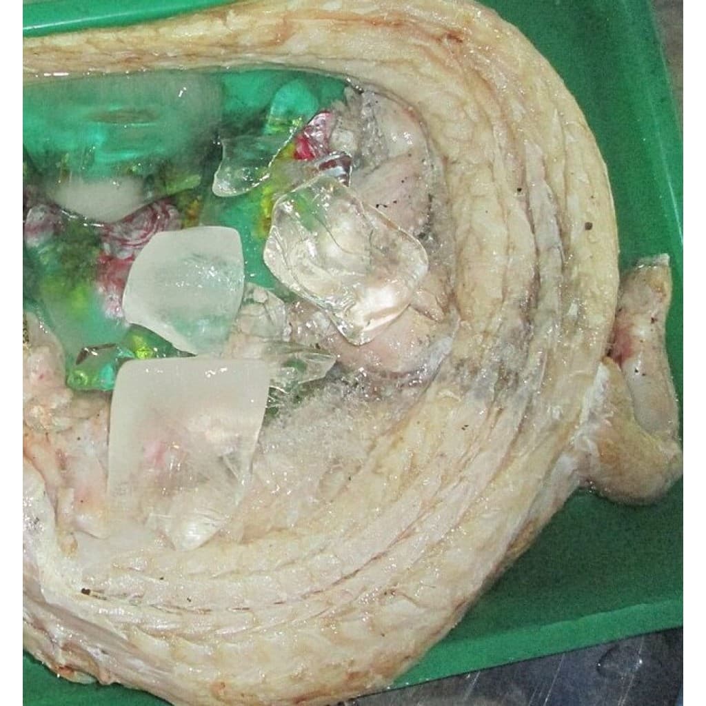 Medium Headless Louisiana Alligator — Skinned & Gutted, 9–14 lb