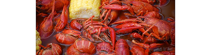 Boiled Crawfish