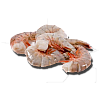 Shrimp - Gulf Shrimp (53)