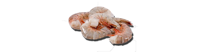 Shrimp - Gulf Shrimp