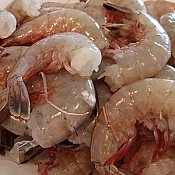 21/25 Gulf White Shrimp- Large (Headless) IQF 1 lb