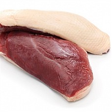 5 Pound Alligator Tenderloin