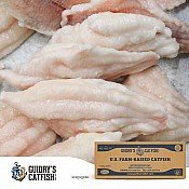 Guidry's IQF Catfish Fillet's 3-5 oz 15 lbs