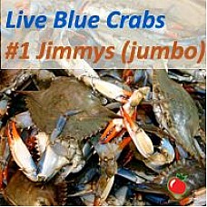 Live Crabs (JIMMY)