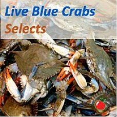 Live Crabs (SELECT)