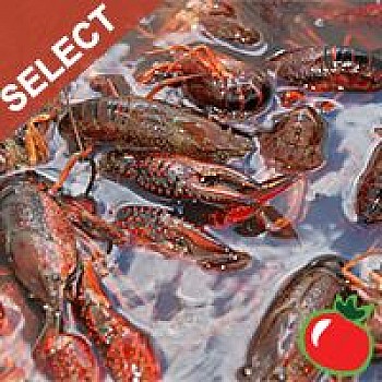 Live Crawfish Washed (SELECT) w/ seasoning