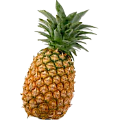 Ole Homestead - Pineapple Marmalade