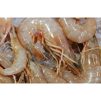 U/10 Gulf White Shrimp - Super Jumbo (Heads-On) IQF