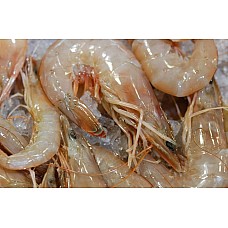 U/12 Gulf White Shrimp - Super Jumbo (Heads-On) IQF