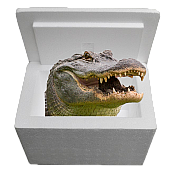 Louisiana Alligator Sampler Cooler: Authentic Cajun Delight