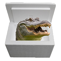 Louisiana Alligator Sampler Cooler: Authentic Cajun Delight