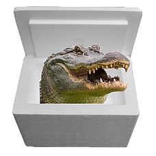 Louisiana Alligator Sampler Cooler: Authentic Cajun Delight