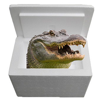 Louisiana Alligator Sampler Cooler: Authentic Cajun Delight