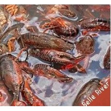 Live Crawfish Belle River with seasoning 30 lb Sack